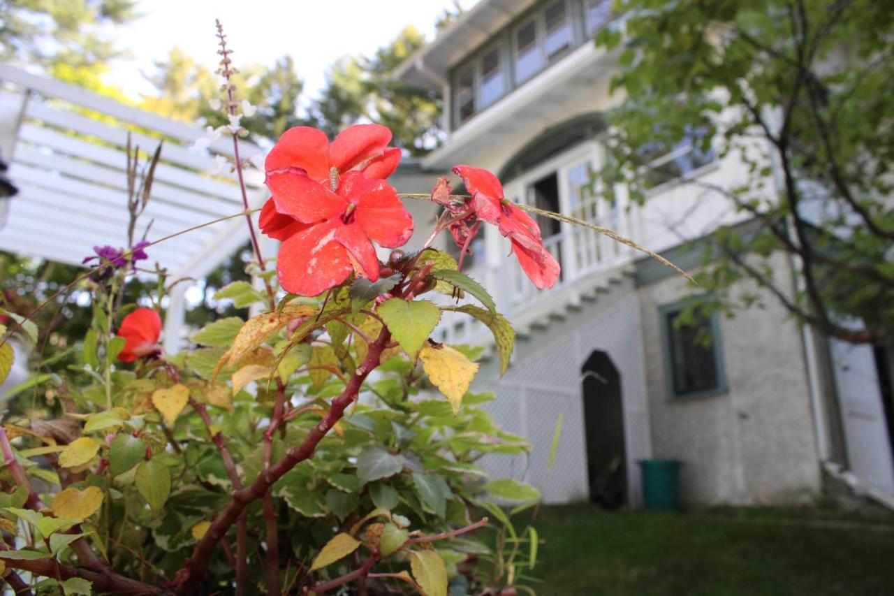 The Hillside B&B. Home W/ Breakfast Service! Wisconsin Dells Zewnętrze zdjęcie